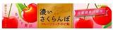 KANRO香濃櫻桃味潤喉糖11粒