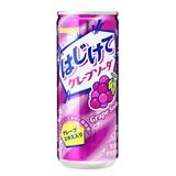 日本三佳利 葡萄苏打汽水250g
